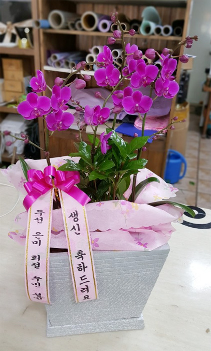 ST-H334