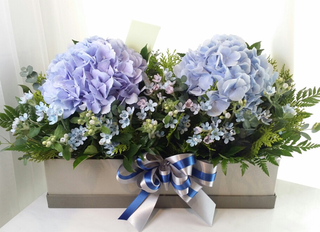 ST-B321