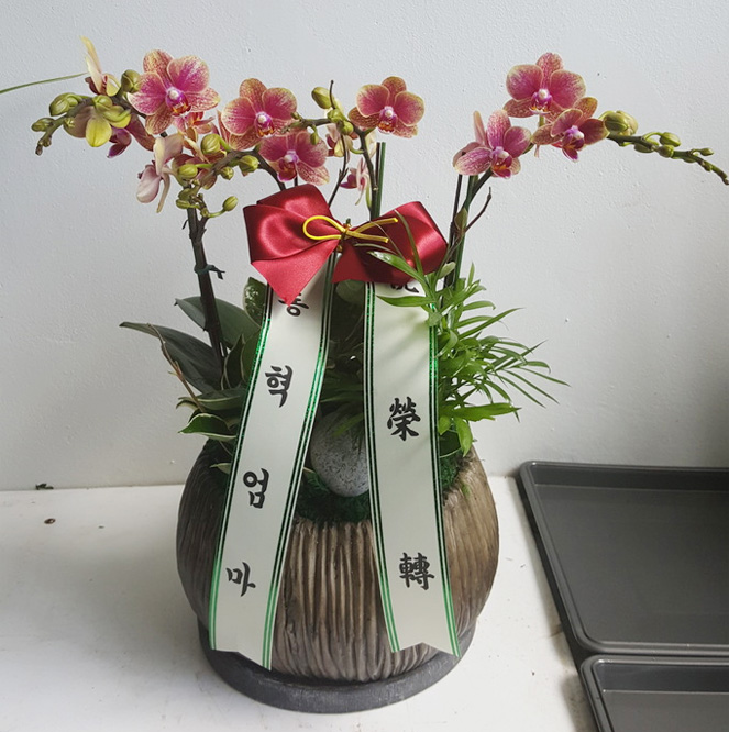 ST-H431