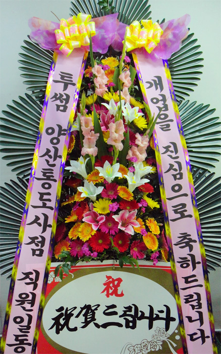ST-FA248