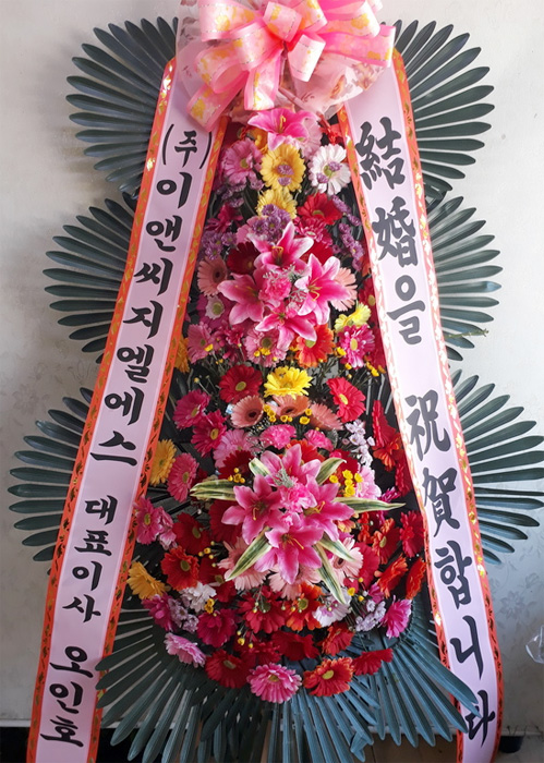 ST-FA248