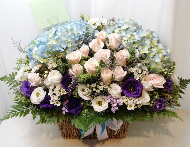 ST-A1661