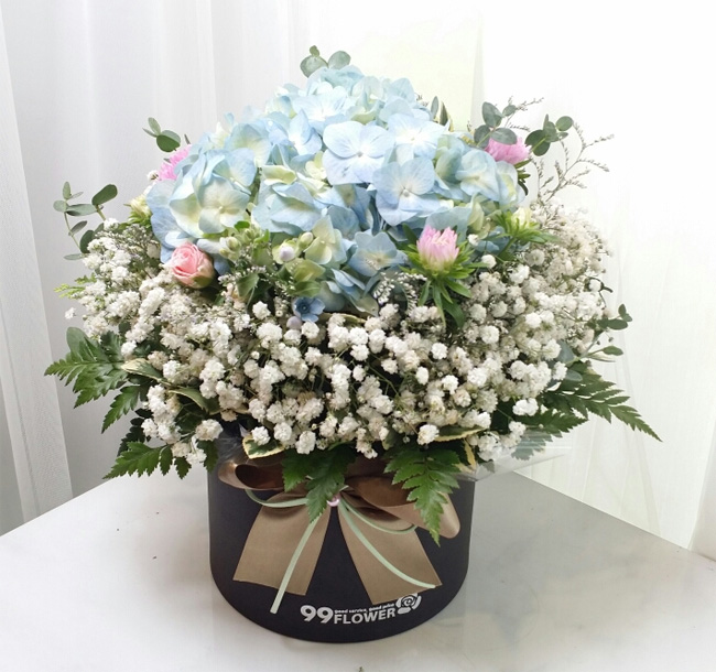 ST-B319