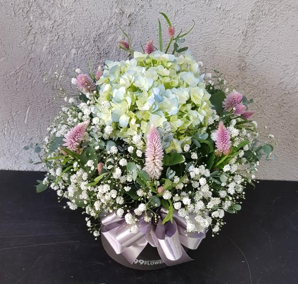 ST-B319