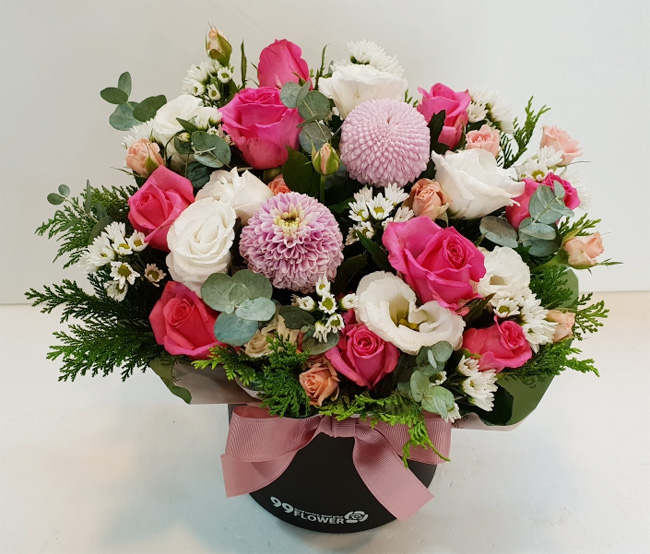 ST-B286