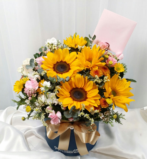 ST-B331