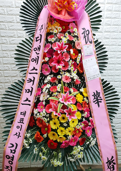 ST-FA248