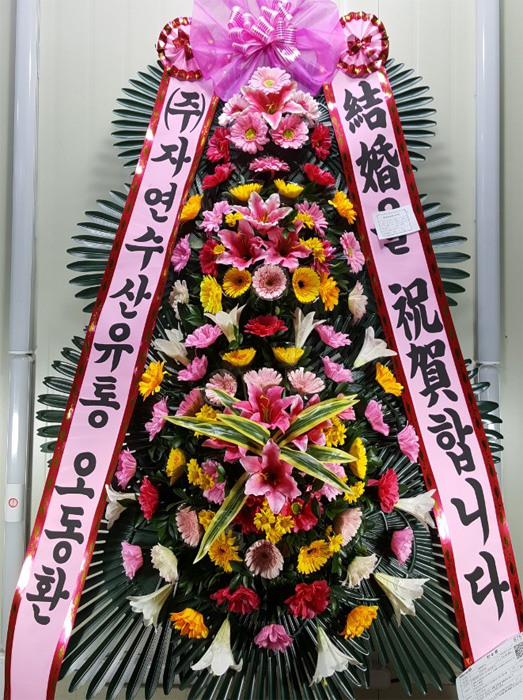 ST-FA250
