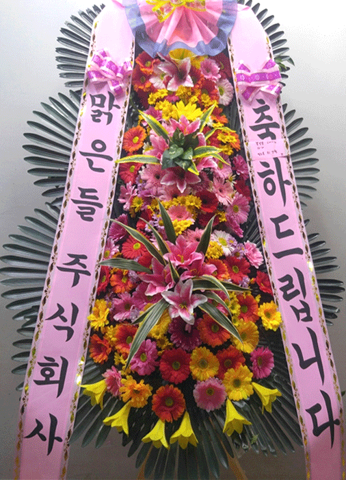 ST-FA248