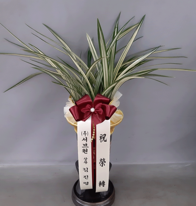 ST-E280