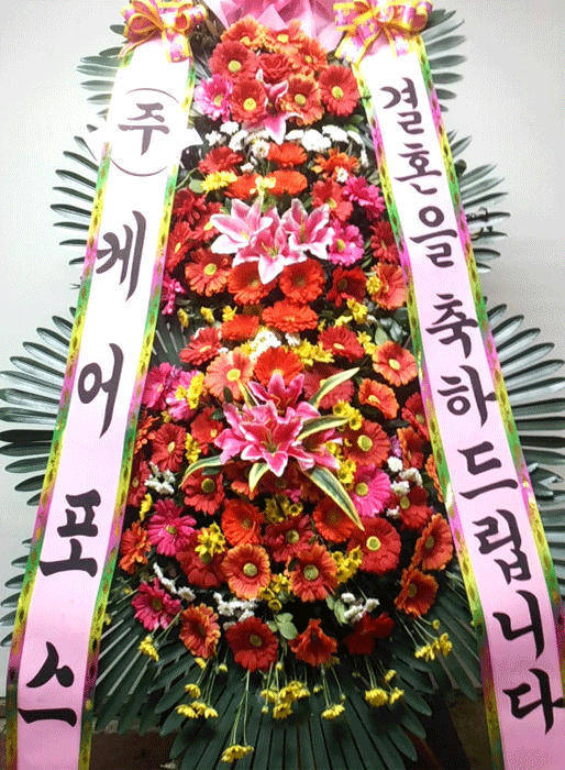 ST-FA248