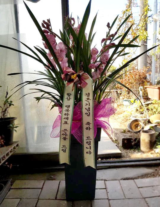 ST-H413