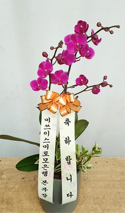 ST-H286