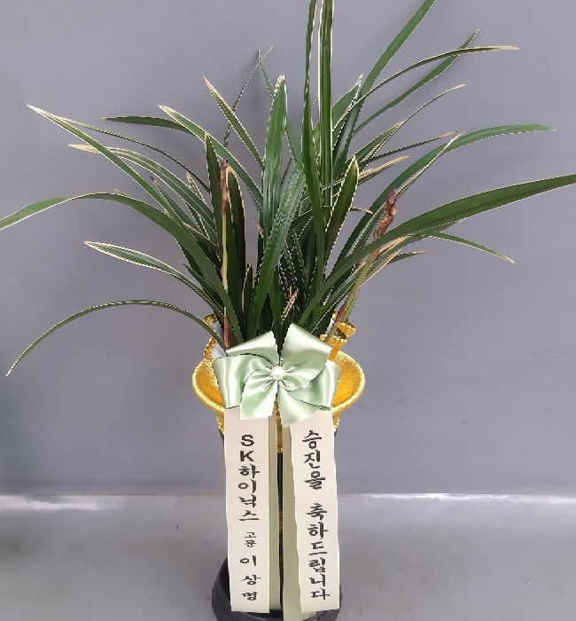 ST-E478