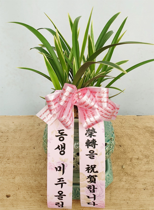 ST-E477