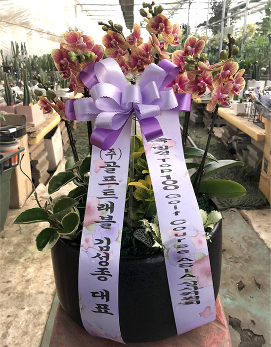 ST-H334