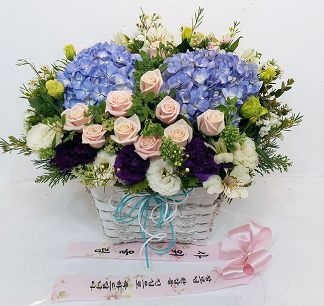 ST-A1661