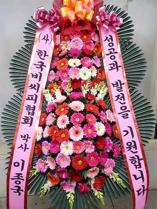 ST-FA248
