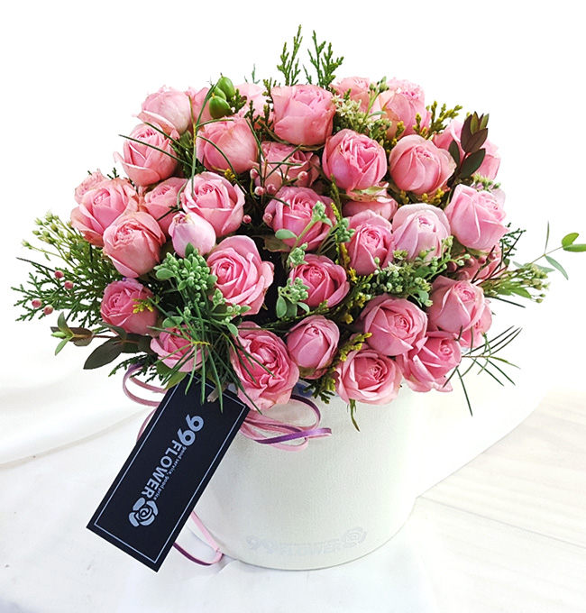 ST-B327