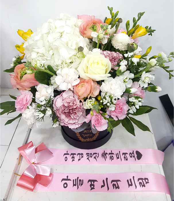 ST-B290