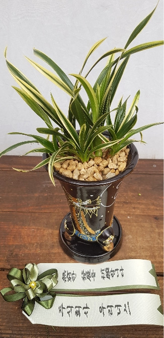 ST-E503