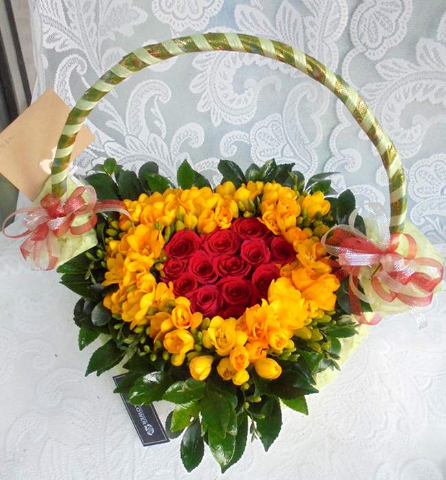 ST-A1233