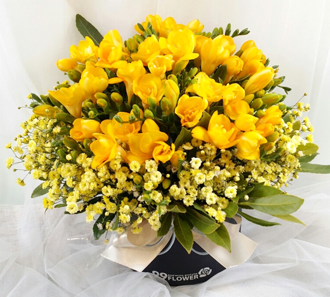 ST-B309