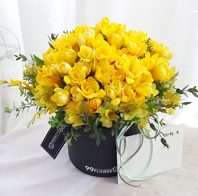 ST-B309