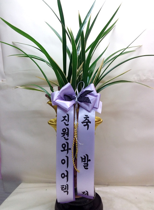 ST-E497