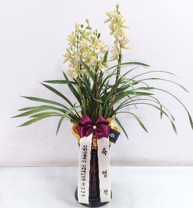 ST-E487