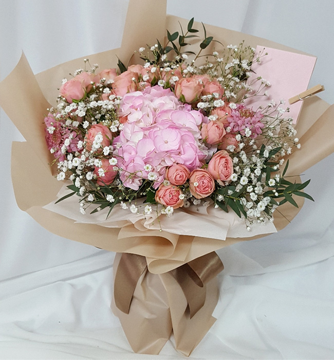 ST-C494