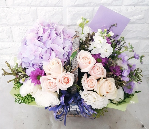 ST-A1661