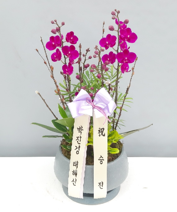 ST-H445