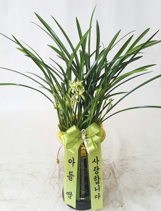 ST-E487
