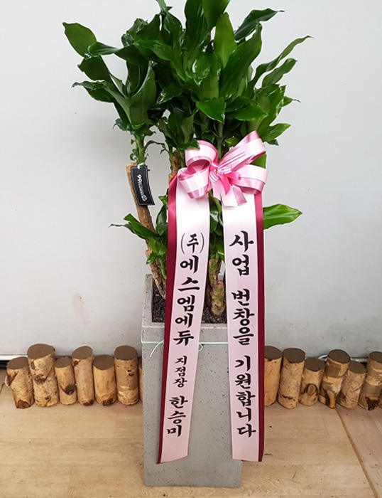ST-E511