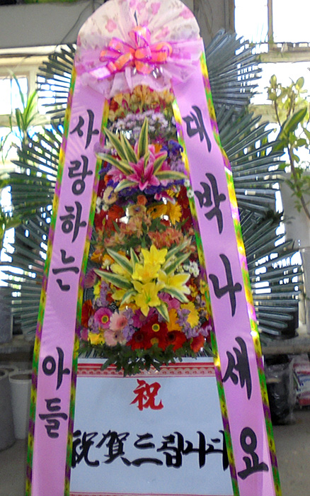 ST-FA248