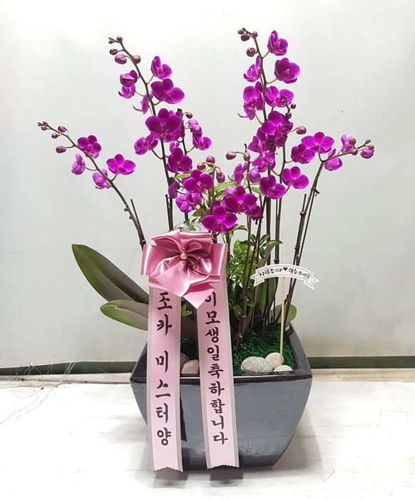 ST-H334