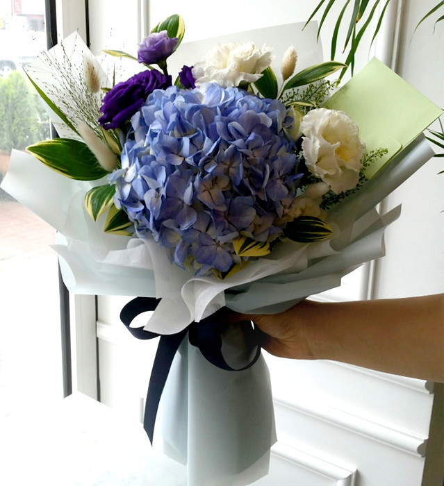 ST-C463