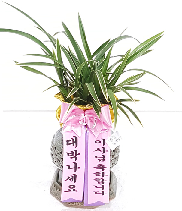 ST-E477