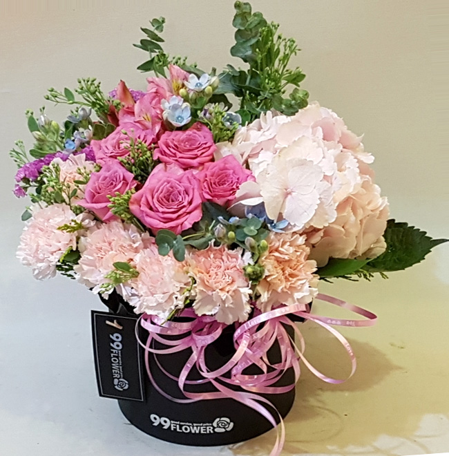 ST-B333