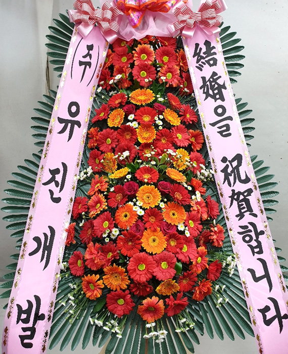ST-FA248
