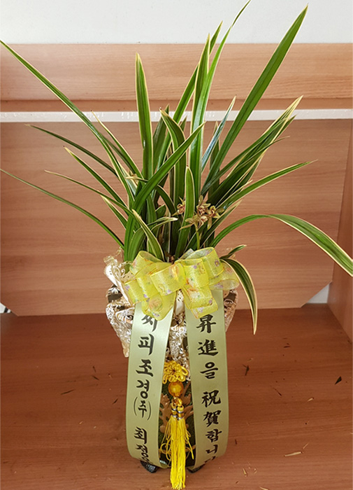 ST-E505