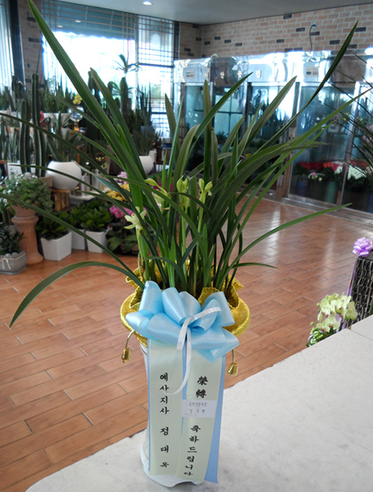ST-E370