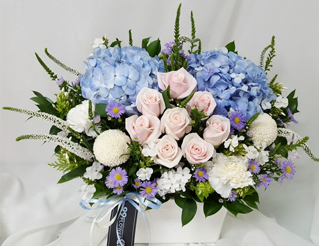 ST-A1661