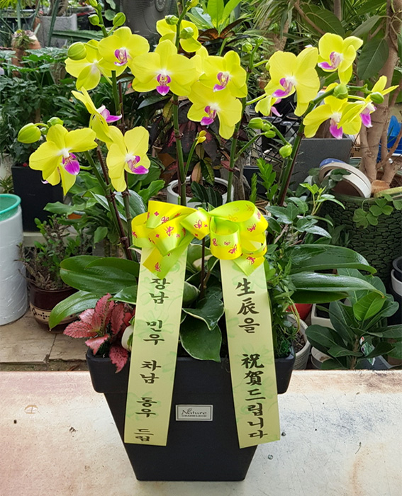 ST-H193