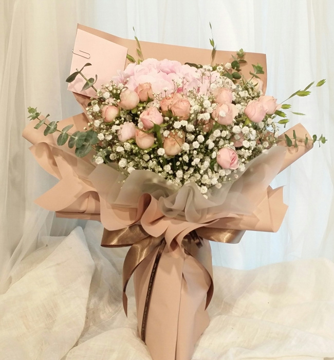 ST-C494