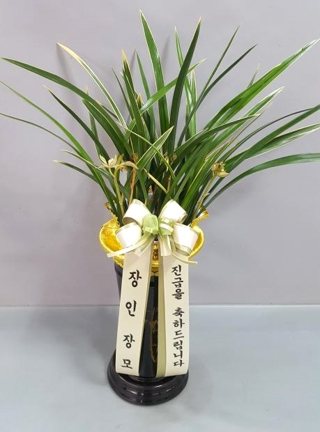 ST-E305