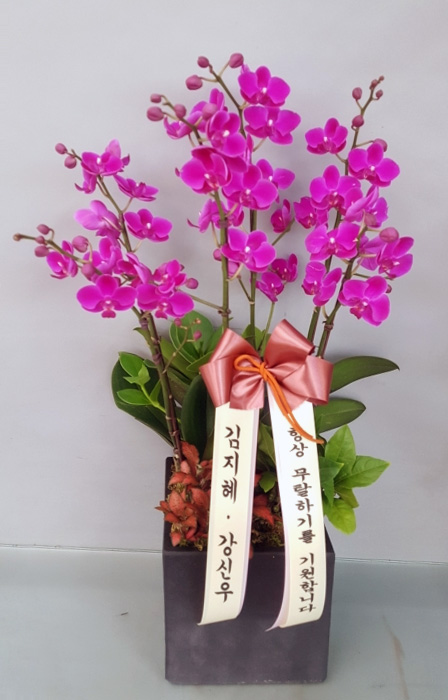 ST-H424