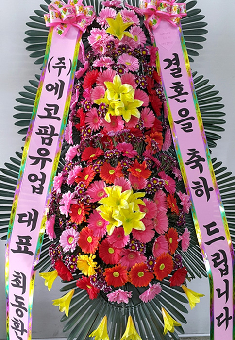 ST-FA248