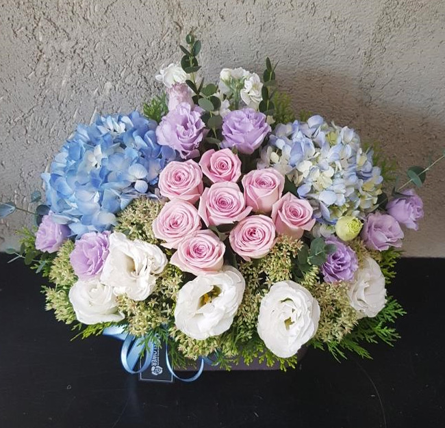 ST-A1661